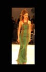 Zang Toi