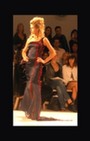 Zang Toi