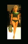 Zang Toi