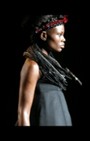 Zang Toi