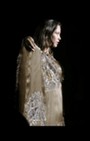 Zang Toi