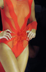 Gottex swimwear