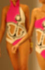 Gottex Swimwear