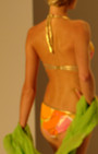 Gottex Swimwear