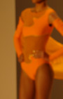 Gottex Swimwear