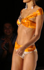 Gottex Swimwear