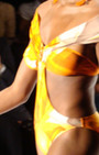 Gottex Swimwear