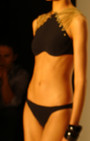 Gottex Swimwear