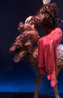 Iris Apfel, Personal Style Inspiration on Exhibition