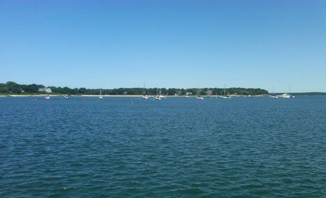 All that quiet water and so much action... All that quiet water and so much action...