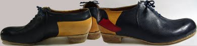 Swan Shoe Swan Shoe