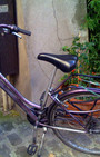Paris Chic Bicycles Are Rather Fun and Utalitarian 